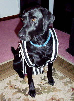 Brady also loves to donate his time as a referee for the Special Olympics.