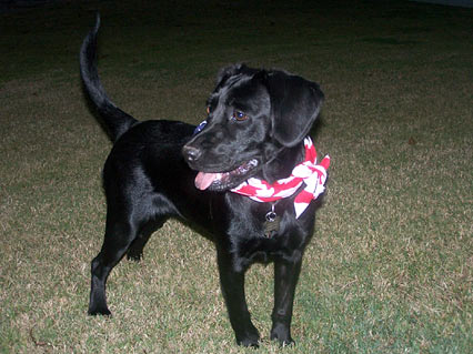 Mackie shows off her stylish side in this red & white bandana.