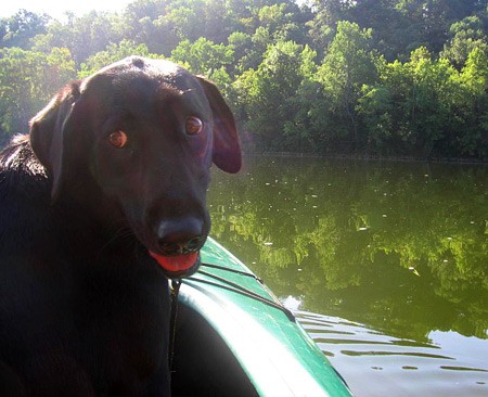 In addition to meatball sub chewy toys and catching frogs, Mr. Meatballs also loves to go kayaking.