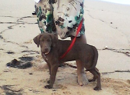 He also loves going to the beach.