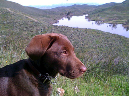 Phelps enjoys the view