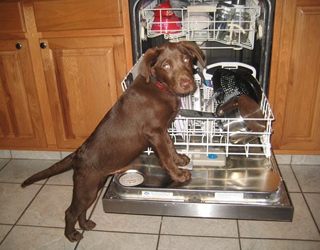 Phelps is always there to help with household chores