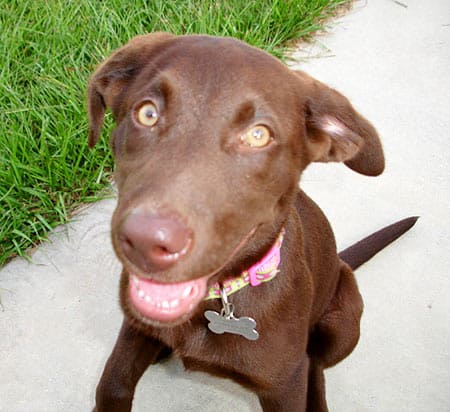 Roxy flashes us her beautiful smile.