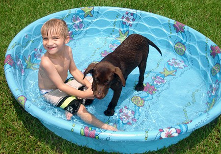 Roxy is always up for a dip in the pool with her favorite friend.