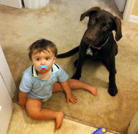 Roxy always keeps a watchful eye on Gavin.