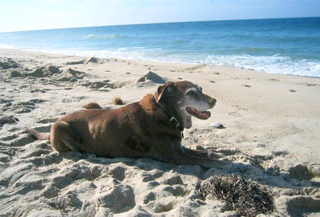 Sienna, 15 yrs old from Rhode Island, loves the beach. It