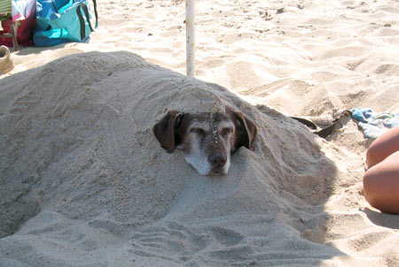 ...especially when she gets buried in the sand!