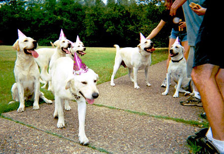 Cassandra (from Austin, TX) celebrates her 8th birthday with a party at Big Stacy Park. And yup, those guests are all her brothers and sisters!