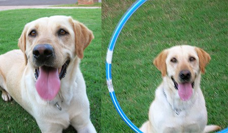 Maggie (2 years old from Edmond, Oklahoma) learning how to jump through a hula hoop. She perfected it in about 20 minutes!