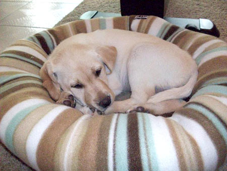 . . . and her color coordinated bed.