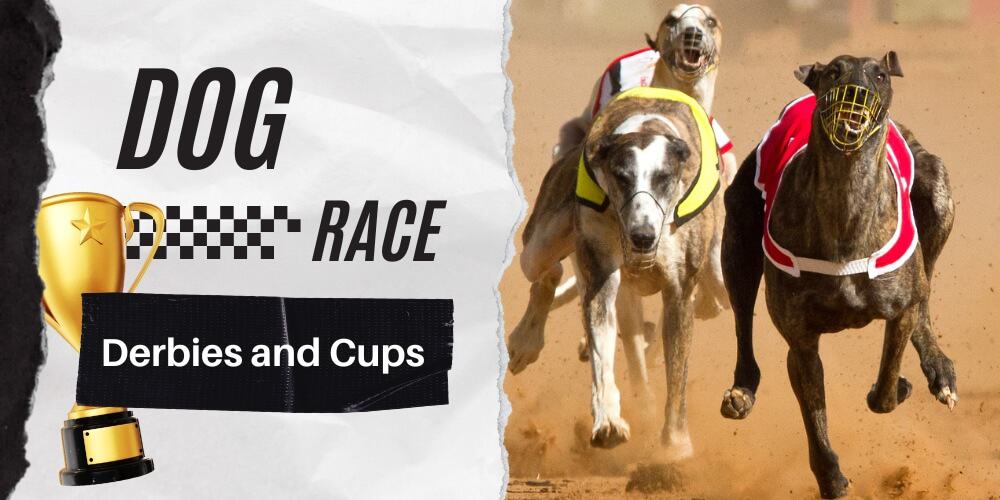 Dog Race Cups and Derbies