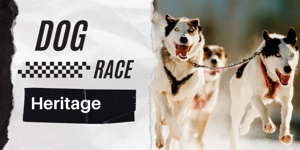 Heritage of Dog Racing